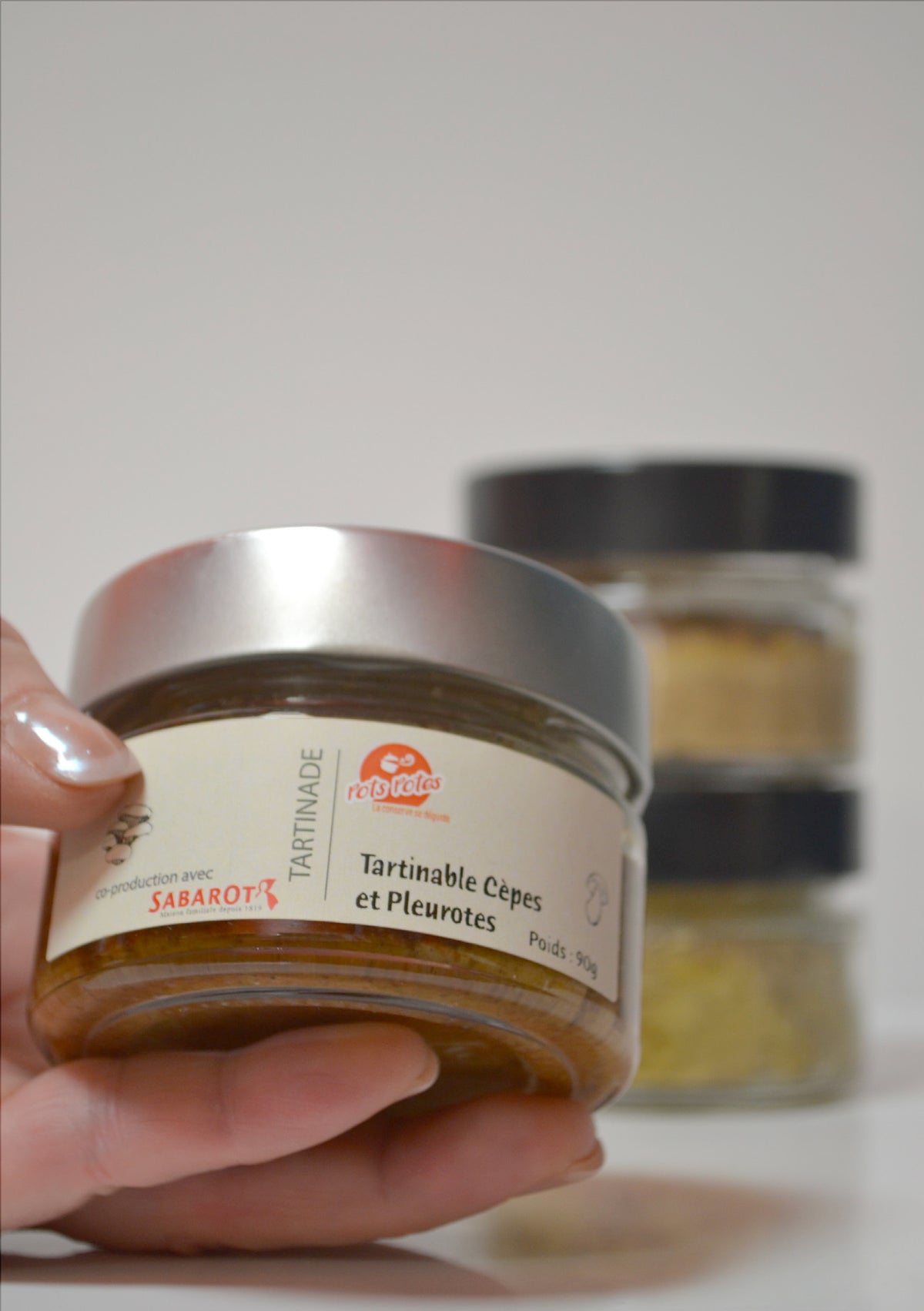 Tartinade - Cèpes et pleurotes