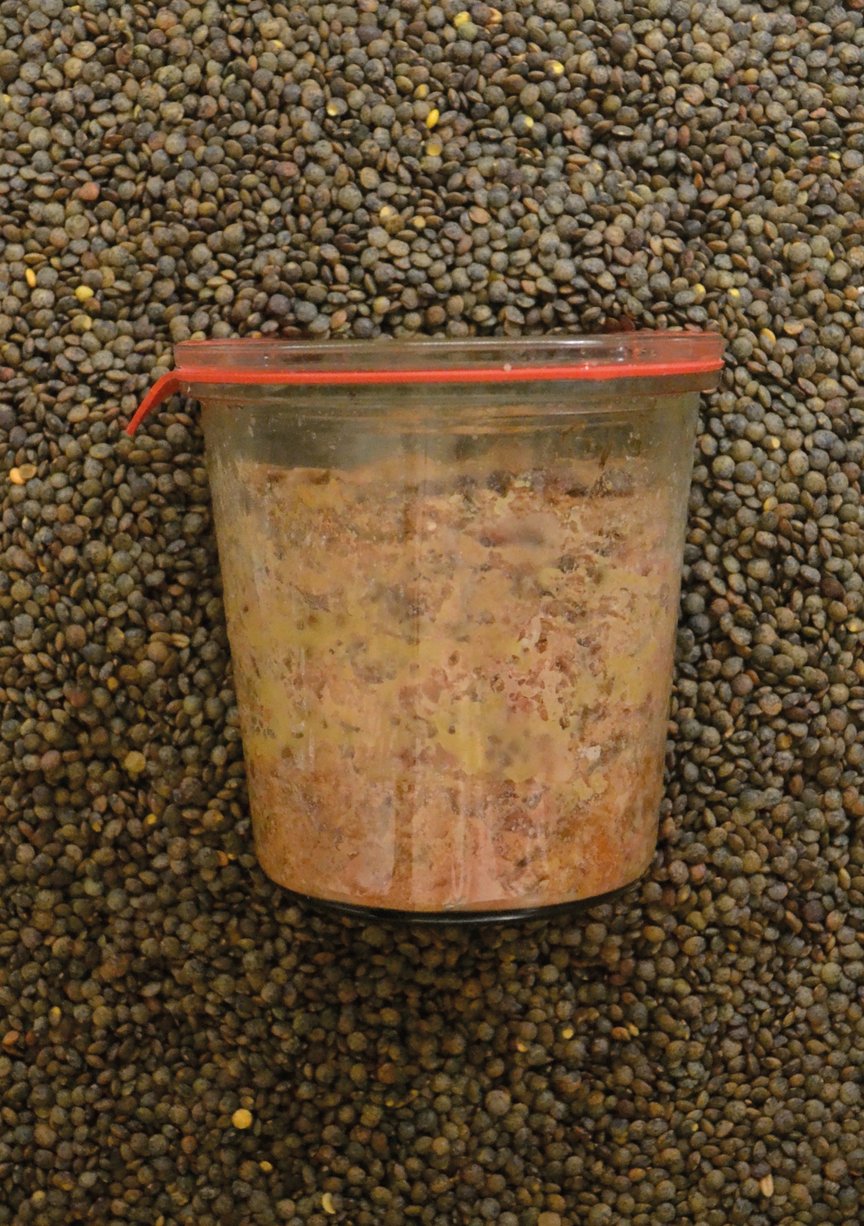 Terrine de Petit Salé aux Lentilles Vertes du Puy en Velay