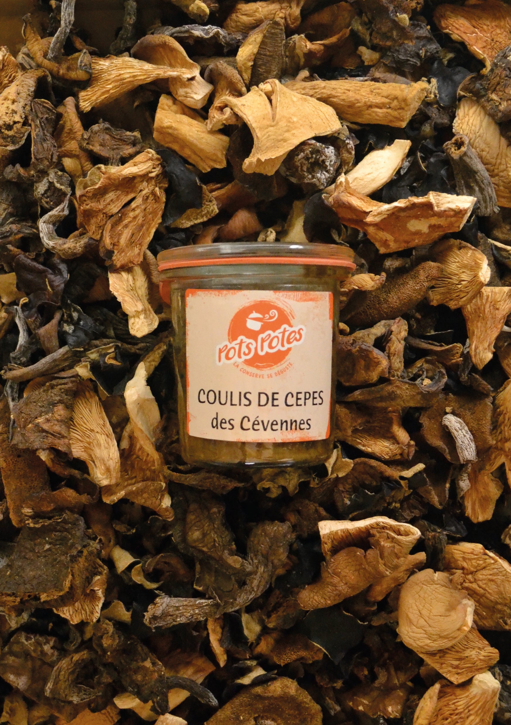 Coulis de Cèpes