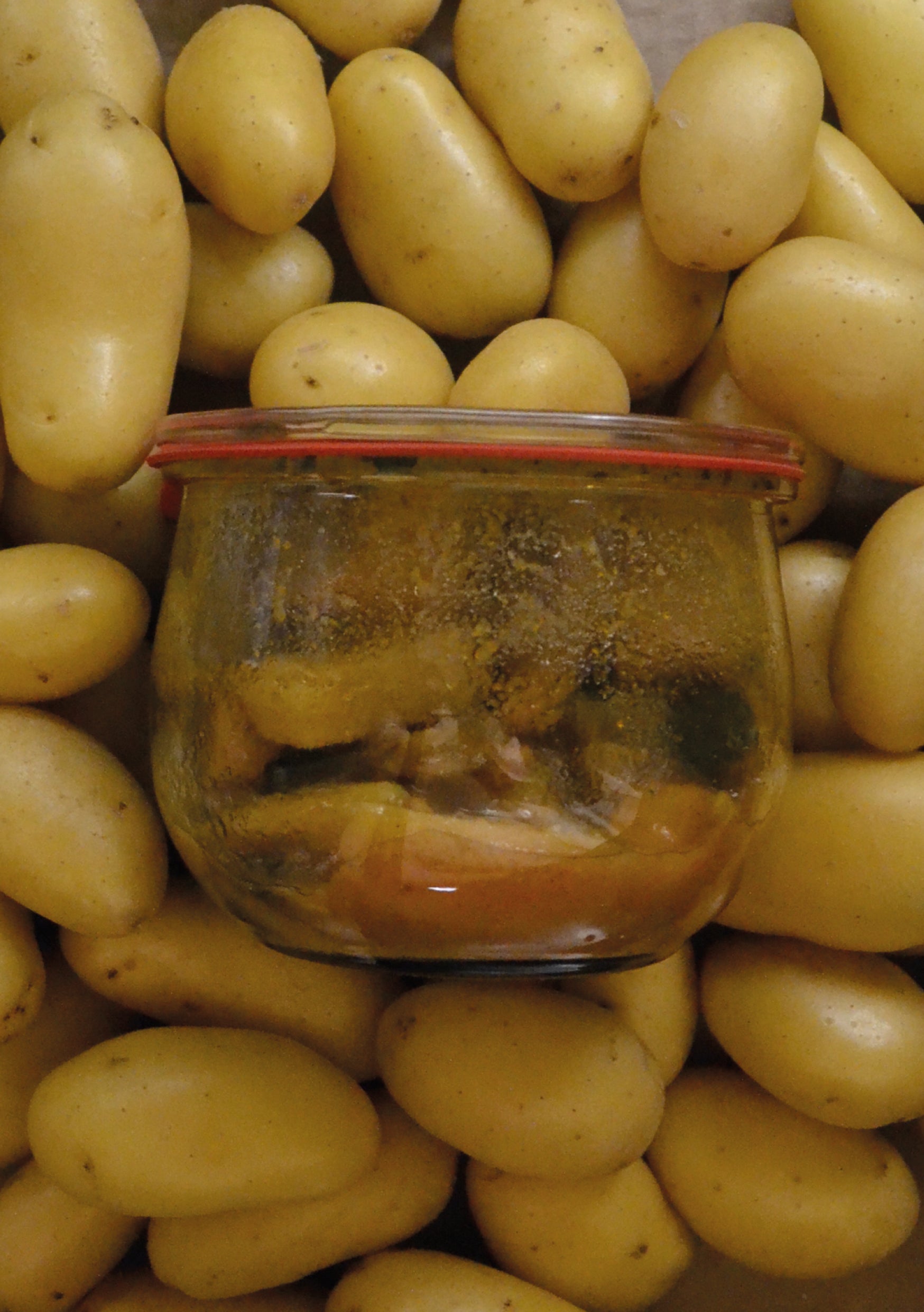 Tajine de Poulet