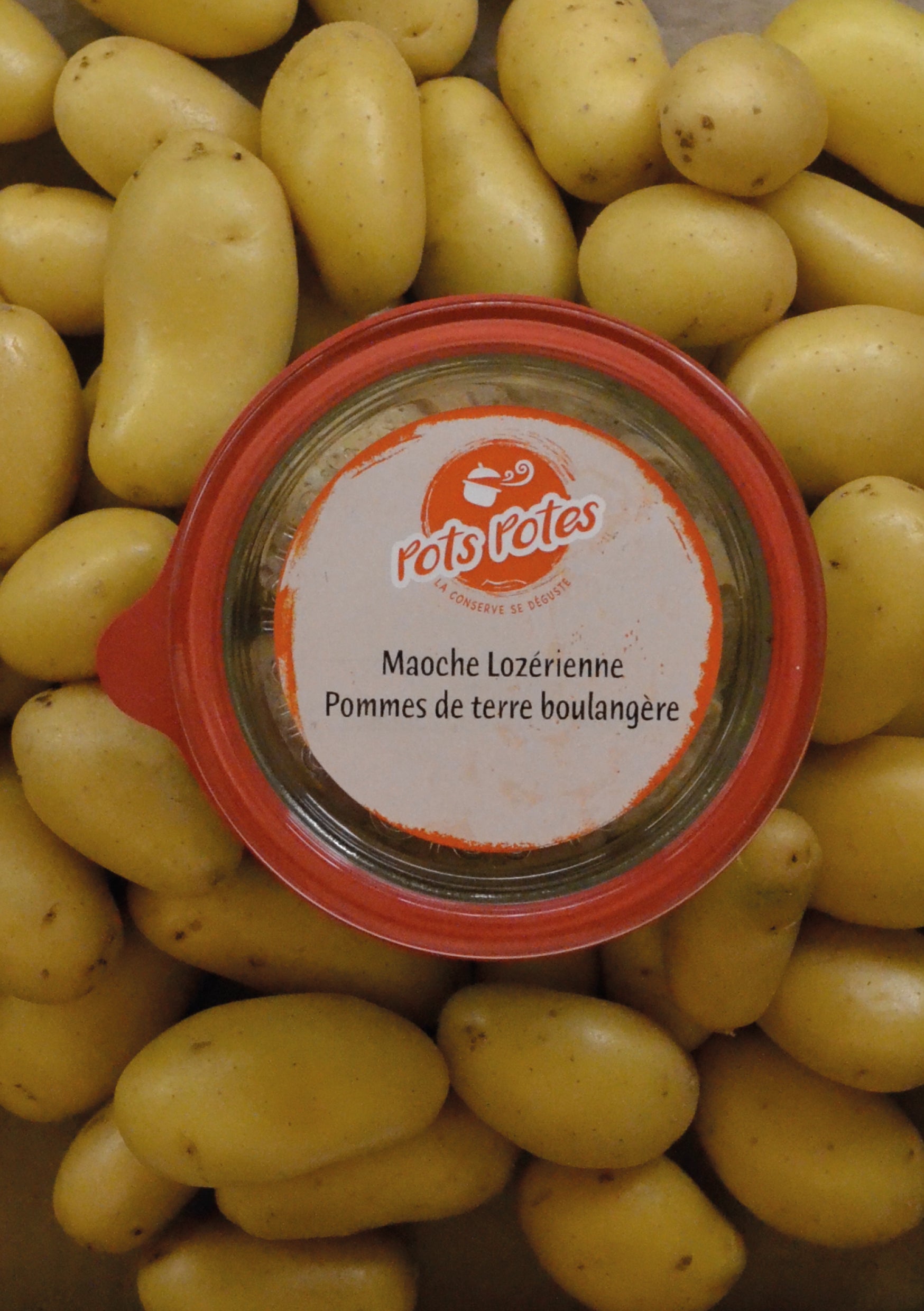 Maoche Lozérienne - Pomme de Terre Boulangères